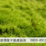 green moss